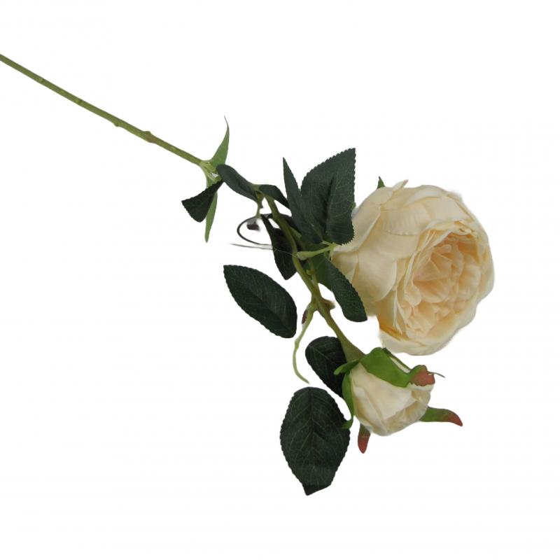 Róża 70cm kremowa <br>(12 sztuk)